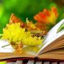 Що почитати восени? Кам’янчани діляться книжковими вподобаннями