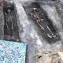 Археологи виявили масове поховання у Старому Замку  (ФОТО) ОНОВЛЕНО