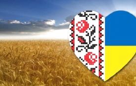 Кам’янчан запрошують на благодійний ярмарок для підтримки у лікуванні військовослужбовця