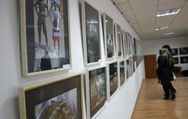 Пейзаж, портрет, ботаніка - фотографи представили палітру світлин на колективній виставці