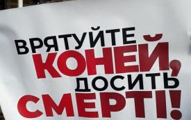 Порятунок тварин: зоозахисники проти Миколи Рачковського