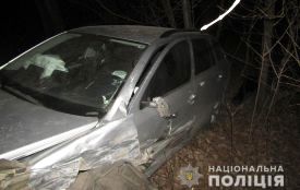 Житель Кам’янеччини загинув у лобовому зіткненні з "Шкодою"