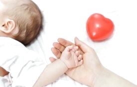 Минулого тижня 18 мешканців Кам'янеччини травмувалися внаслідок криміналу